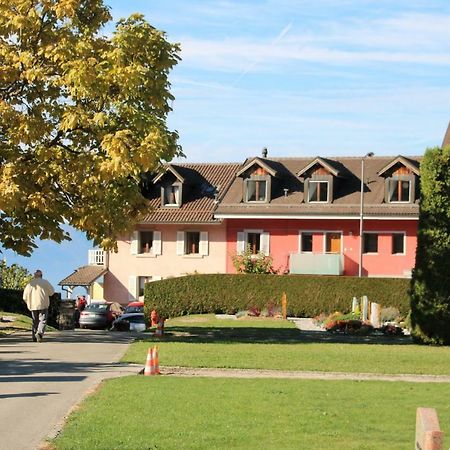 Les Narcisses Apartment Blonay Luaran gambar